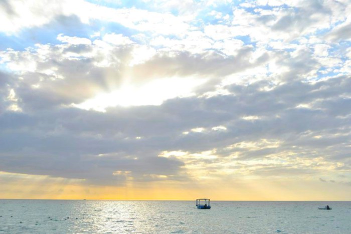 13083_558014094222703_177734796_n