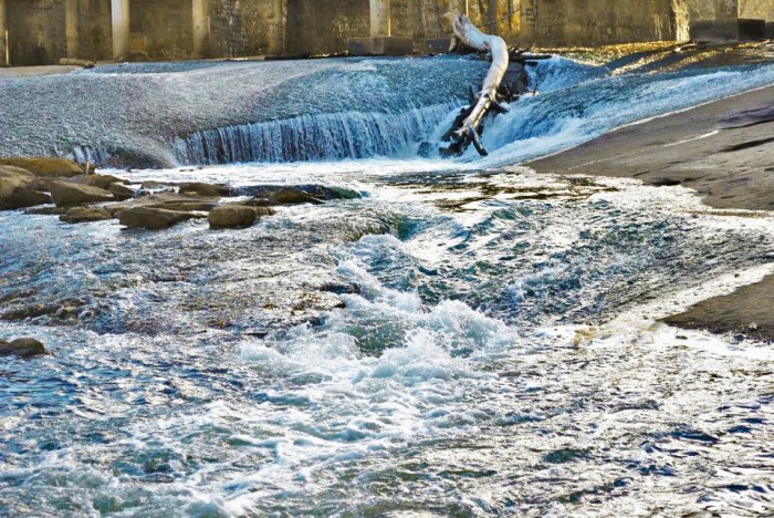 391848_322745484416233_637963632_n