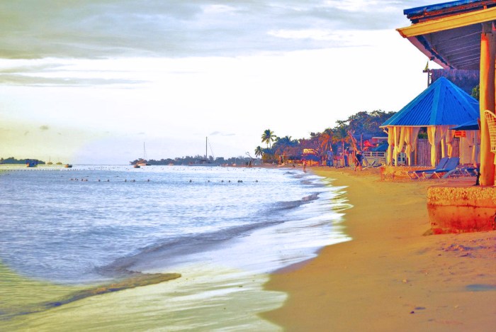 BeFunky_CrossProcess_1