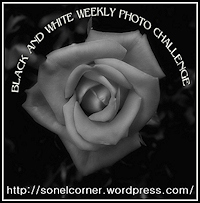 bwphotochallenge-logo-sidebar-sn